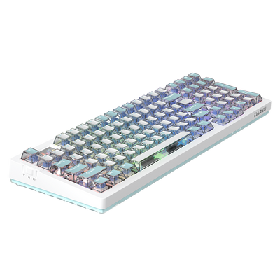 DAREU A98 PRO II Gasket hot swap RGB Mechanical Gaming Keyboard
